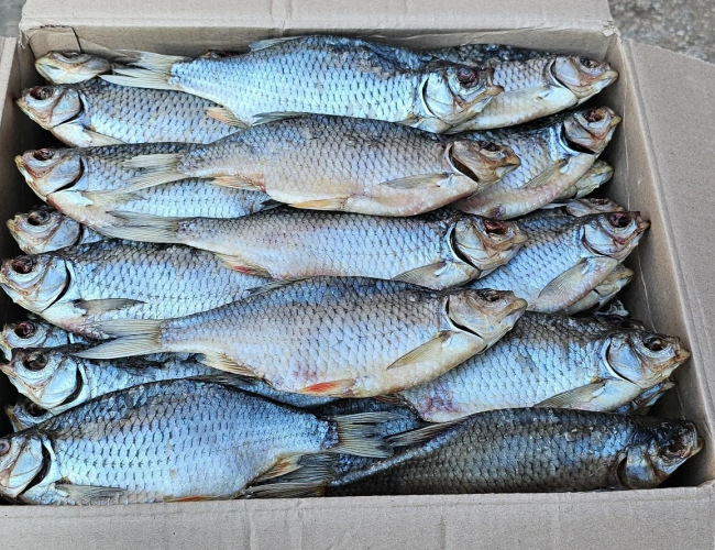 Красноперка вяленая 400г