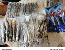 НАБОР "ПРАВО НА БАЛЫК СОМА". Миниатюра #