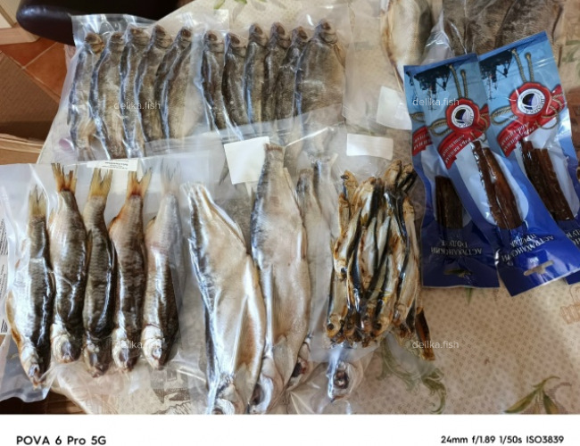 НАБОР "ПРАВО НА БАЛЫК СОМА" #4