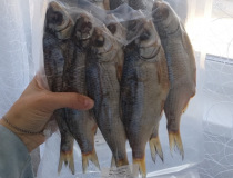 НАБОР "БАЗОВЫЙ МИНИМУМ". Миниатюра #