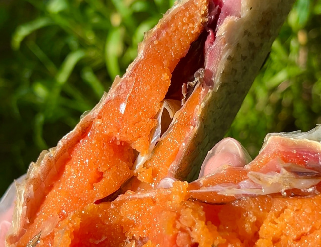 ИКРЯНАЯ КОРОБКА СЧАСТЬЯ 
